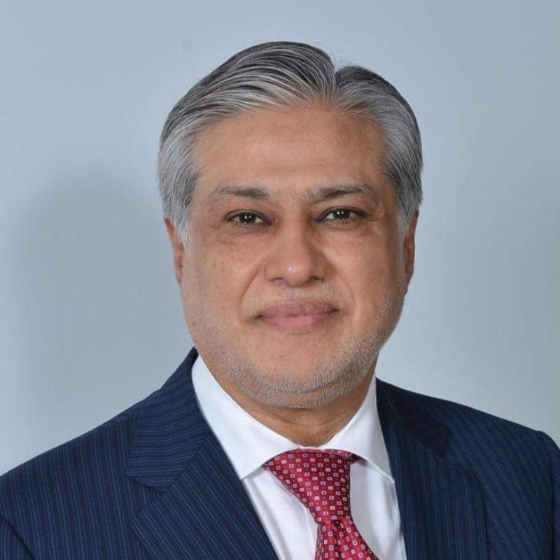 Senator Mohammad Ishaq Dar's image